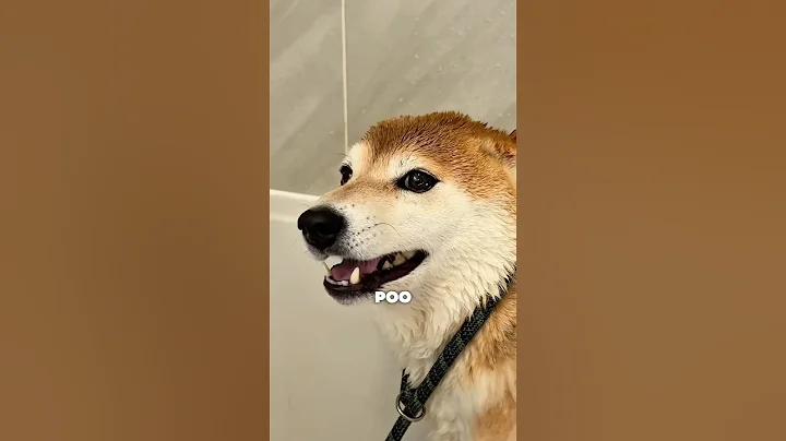 Stinky Little Baby 🥰🚿 #cutenessoverload