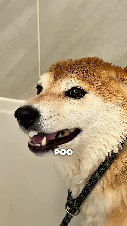 Stinky Little Baby 🥰🚿 #cutenessoverload