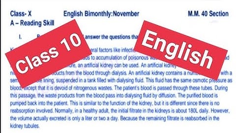 Class 10 English Sample Paper November 2022#pseb #solved #class10