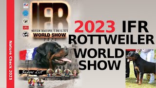 IFR Rottweiler World Winner 2023