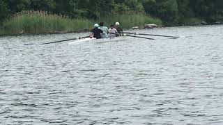 IMG 5223