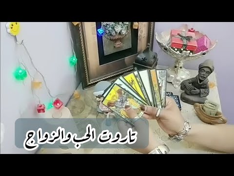 فيديو: 