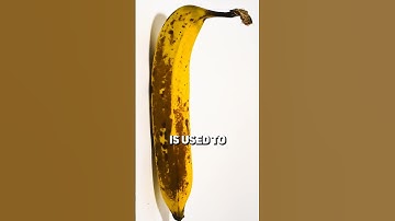 A World Without Uranium