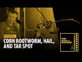 Keeping It Independent - Corn Rootworm, Hail, and Tar Spot