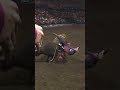 Ranga Tosses Ben Bode  #pbr #bullriding