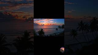 🌅 Peaceful Ocean Sunset 🌴 | Relaxing Music for Stress Relief &amp; Deep Calm #Shorts#relaxing