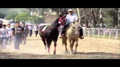 La gran carrera del año.Corrido del sicario