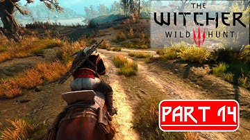 The Witcher 3 Next Gen Upgrade Gameplay Walkthrough Part 14 FULL GAME - No Commentary