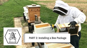 2 of 3 : Installing a package of bees