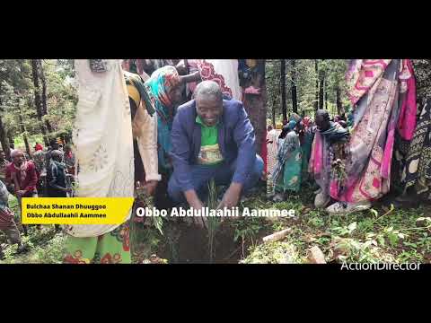 Baniinsa Ashaaraa Magariisaa Marsaa 4ffaa Aanaa Shanan Dhuuggootti