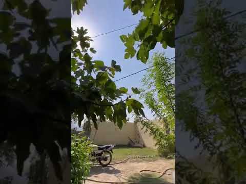 جمال الطبيعة الباحة المندق بلاد زهران١٤٤٤ه