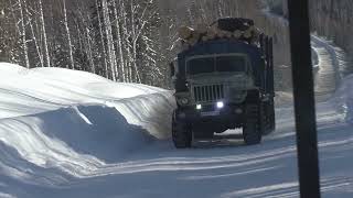 Опасные Лесовозы Подборка видео из разных дней Зима 2022 год.