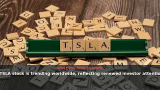 Tesla Stock (TSLA) Surges in Google Trends as Investor Interest Peaks | October 2026 | NewsDrop