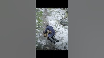 Random Encounters - 1 in #RDR2