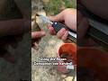 Using the Roxon Campanion One Handed