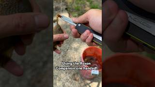 Using the Roxon Campanion One Handed