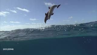 gettyimages-103120948-640_adpp