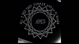 All I Did This Summer Was Go to Rehab - Apes (of the State) - FULL ALBUM