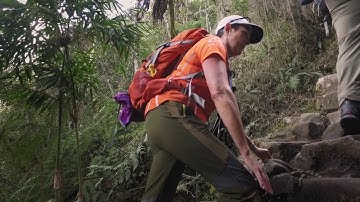 A Preview of the Moving Mountains for Multiple Myeloma Machu Picchu Climb
