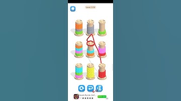 Rope Color Match 3D Level 2138