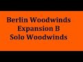 Berlin Woodwinds - Expansion B - Solo Woodwinds