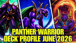 PANTHER WARRIOR DECK PROFILE (JUNE 2026) YU-GI-OH!
