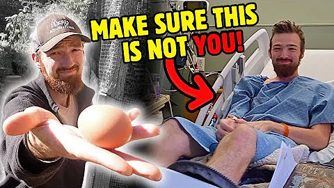 ARE BACKYARD CHICKENS SAFE?  (How To Prevent This)