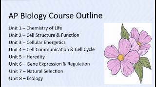 AP Bio Unit 2 Review Part 1 (Updated CED)
