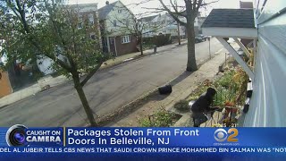 N.J. Package Thief Caught On Camera