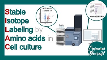 SILAC | Stable isotope labeling by amino acids in cell culture | applications of SILAC | Limitations