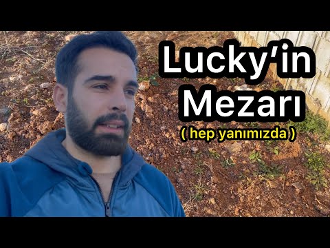 Lucky’nin Mezarı - Alışmak Çok Zor !