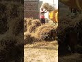 #comedy #funny #tranding #views #video