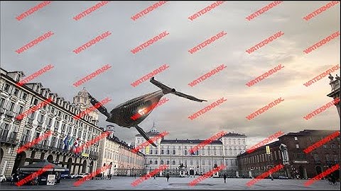 NUKE GIZMO: Watermark