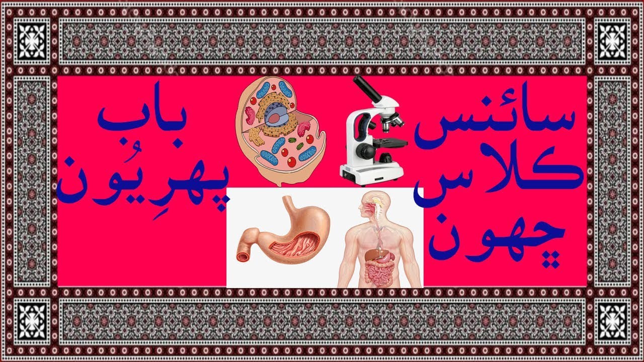 Science in Sindhi class 6 chapter 1 Cell سنڌي سائنس ڪلاس ڇھون جيو گھرڙو