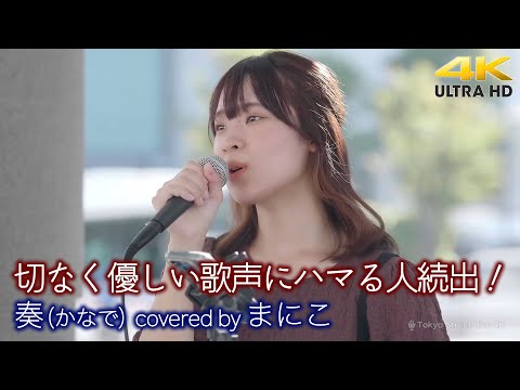 【 歌うま 】切なく優しい歌声にハマる人続出！ 奏(かなで) / スキマスイッチ（ covered by まにこ ）4K映像