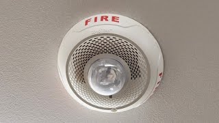 Fire Drill - Fall 2026 | Notifier Voice Evac and L-Series Speaker/Strobes 