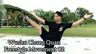 Wushu Freestyle Chang Quan 02 - Wushu Taolu Tutorial