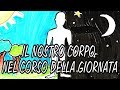 IL TUO CORPO IN 24 ORE