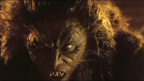 Code Elektro - Wolf (unofficial music video)