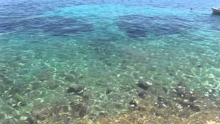 İzmir Karaburun Iskele Mh Arya Da Balik Avi ..