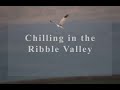 Wildlife Photography | Ribble Valley Wildlife | Lancashire UK