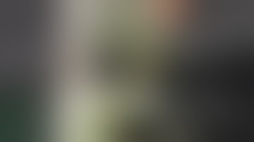 LOLLY POPPING AND LOWERING IN TRELLIS | OCTOGROWER