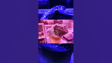 Making Mushroom Substrate [EASY] #fyp #foryou #fypシ゚viral #funny #education #science #howto
