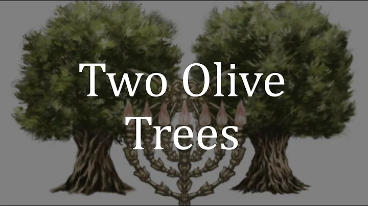 Two Olive Trees: the two anointed sons in Zakaryah...