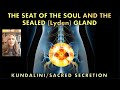 The SEAT OF THE SOUL and the SEALED Lyden Gland - Raise the Energy from the Sacral Chakra