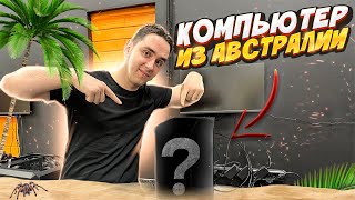 Австралийская сборка ПК за 400 тысяч! 😱