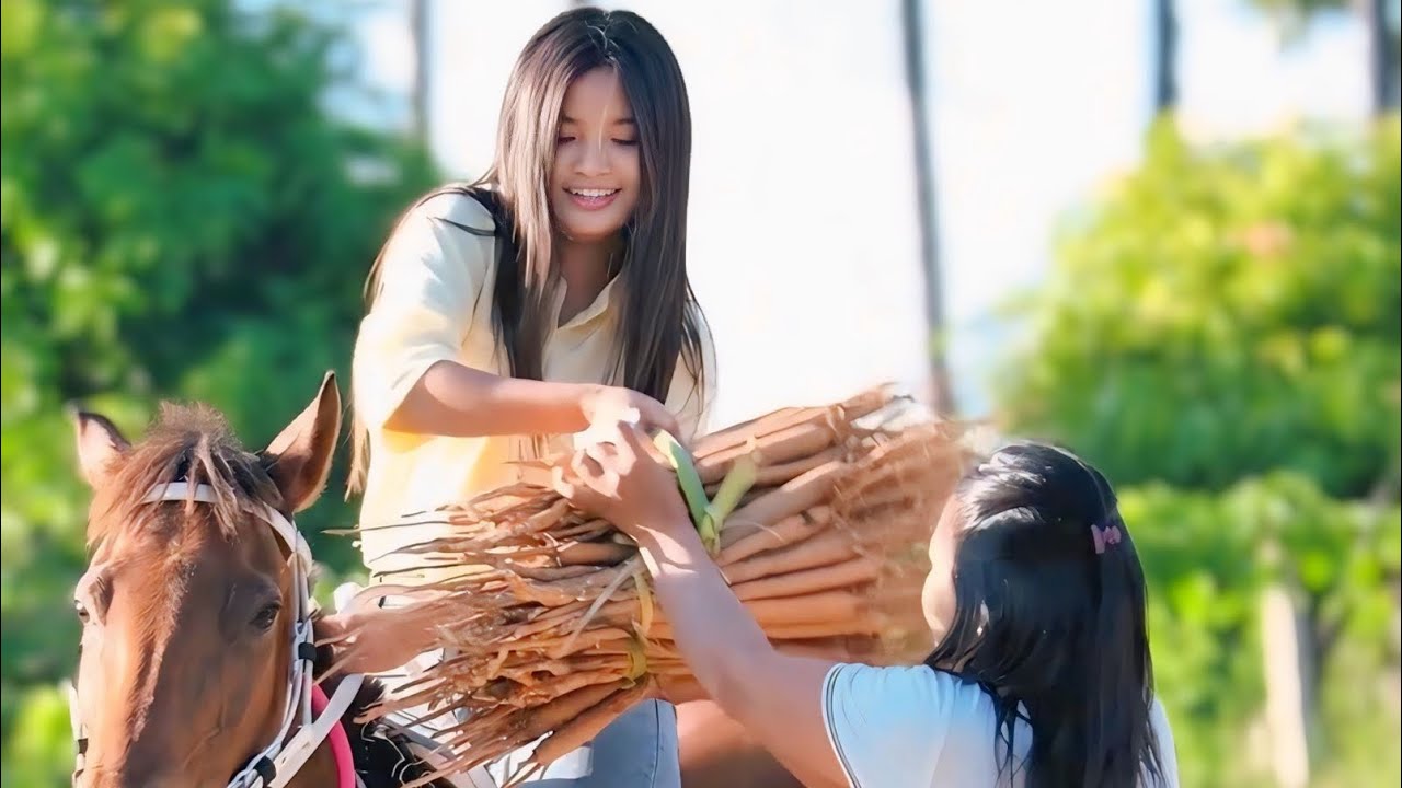 အလှူသွားဖိတ်တာ ထန်းမြစ်တွေ တွေ့လို့ဝယ် 