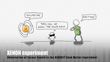 The XENON collaboration observes an excess events in its XENON1T dark matter experiment