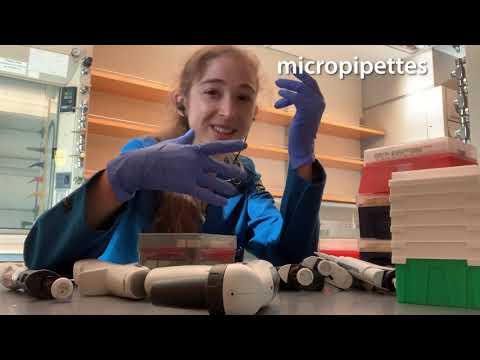 Video: Wat is mikropipette?