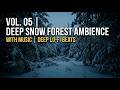 Cozy Forest Night &amp; Deep Lo-Fi Beats 🌲 [Vol. 5] | Study &amp; Focus Ambience